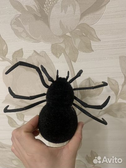 Паук на управлении