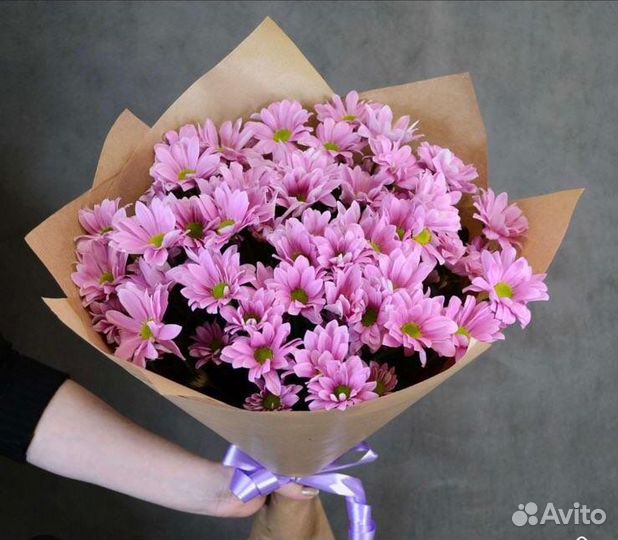 Хризантема ромашка живые цветы букет подарок