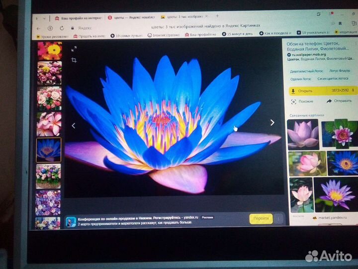 Монитор Acer AL1916A 1280x1024, 75 Гц TN