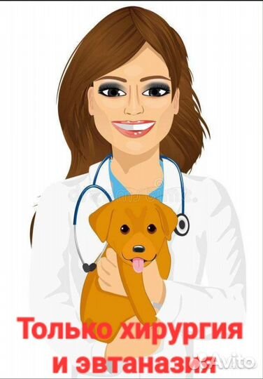 Ветеринарные манипуляции на дому(кошки,собаки)