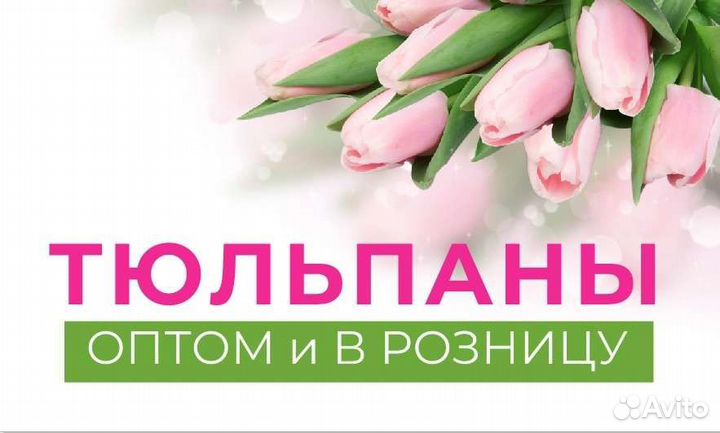 Тюльпаны опт и розница