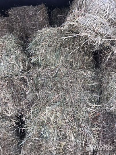 Сено в брикетах