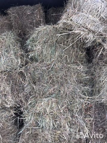 Сено в брикетах