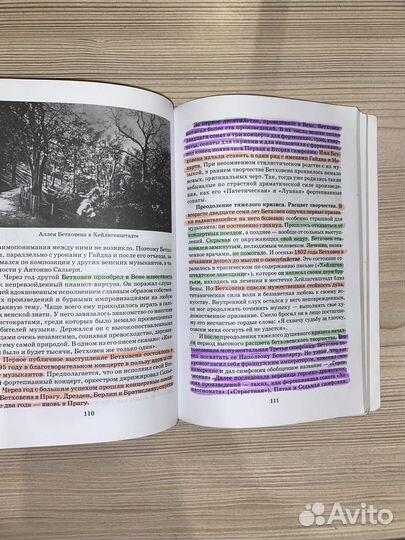 Музыкальная литература зарубежных стран Брянцева