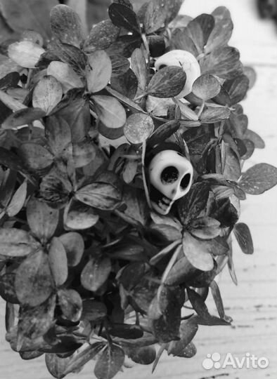 Череп Бусины Новые Камни Разноцветные 45 шт