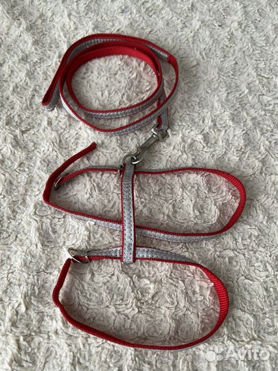 Поводок и шлейка, разные, на маленькую собачку