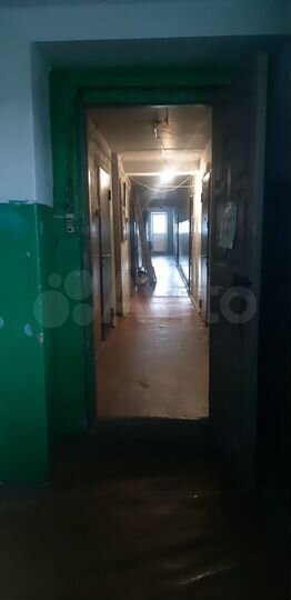 1-к. квартира, 27 м², 7/9 эт.