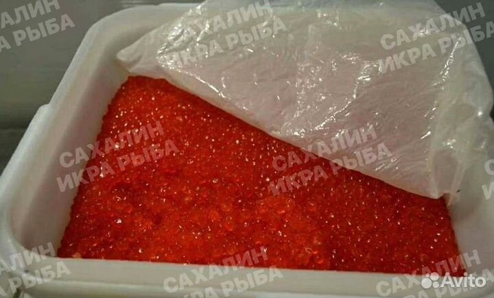 Красная икра