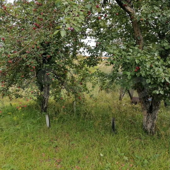 Участок 8 сот. (СНТ, ДНП)