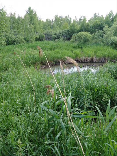 Дача 60 м² на участке 19 сот.