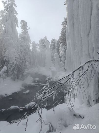 Аренда авто с водителем, доставка на источники