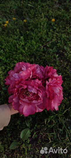 Аренда искусственных цветов