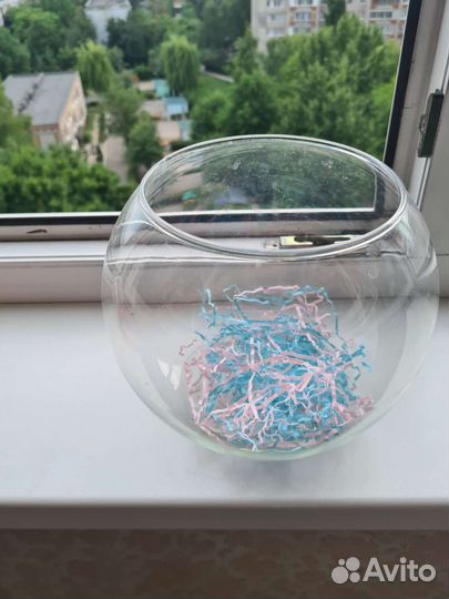 Ваза аквариум