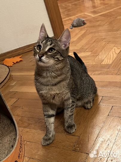 Ева хочет домой