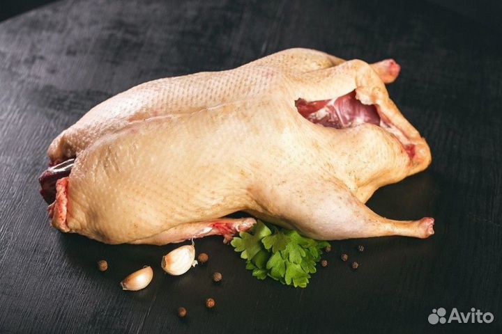 Утка домашняя мясо