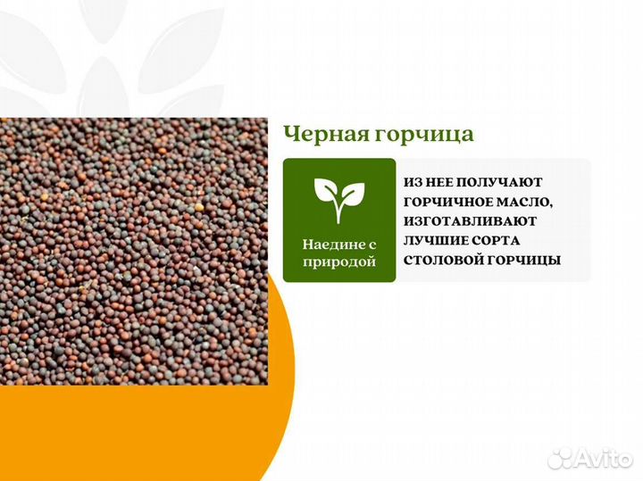 Чёрная горчица (кг)