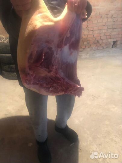 Мясо свинины,домашнее