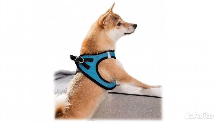 Ошейник для собак Jordan Judy PE073 размер S