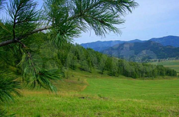 Участок 1,66 га (СНТ, ДНП)