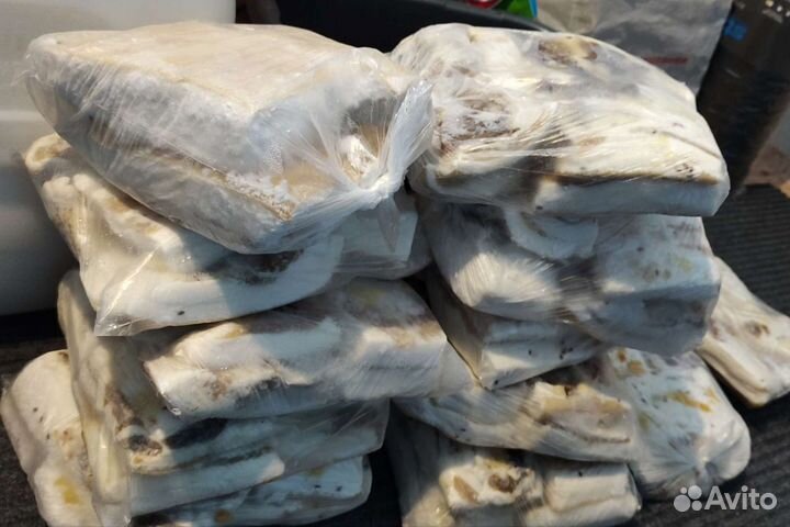 Сало соленое домашнее