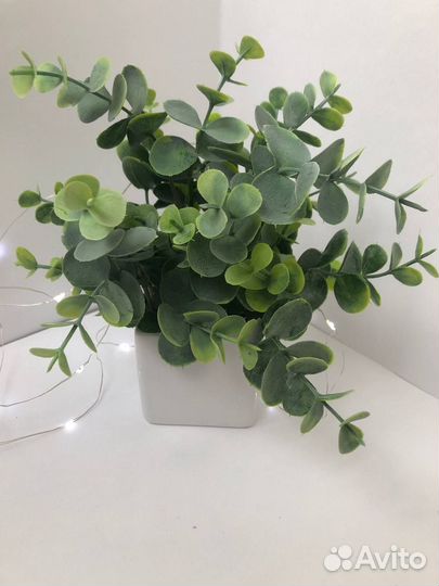 Декор для дома