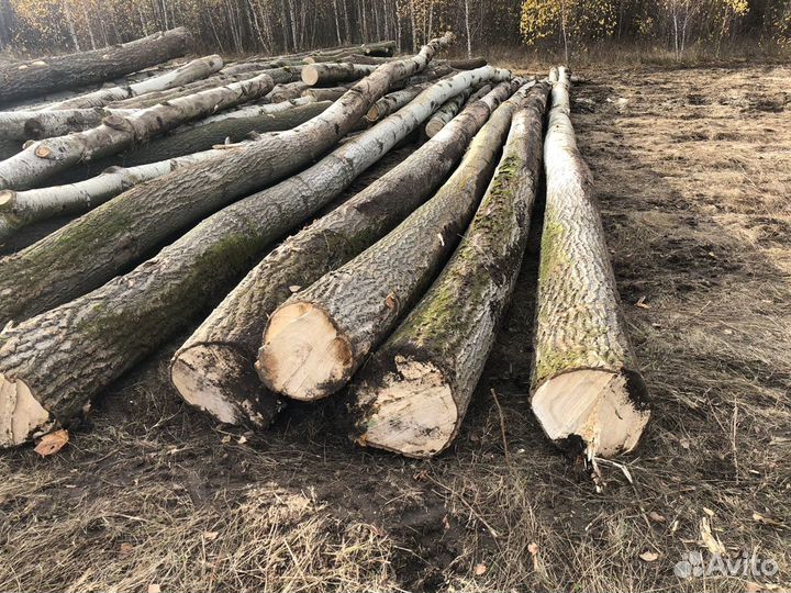 Дуб кругляк 3 сорт