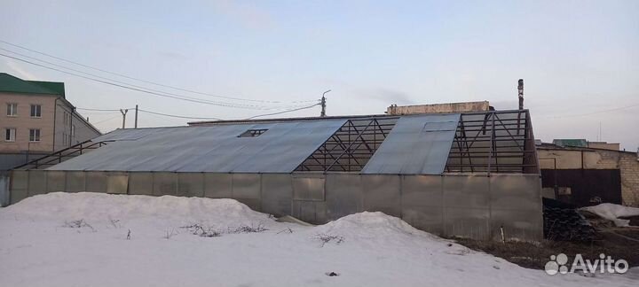 Теплица промышленная