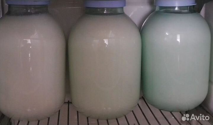 Молоко коровье домашнее