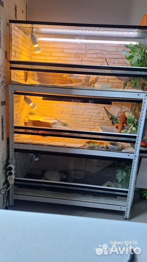 Террариум для рептилий