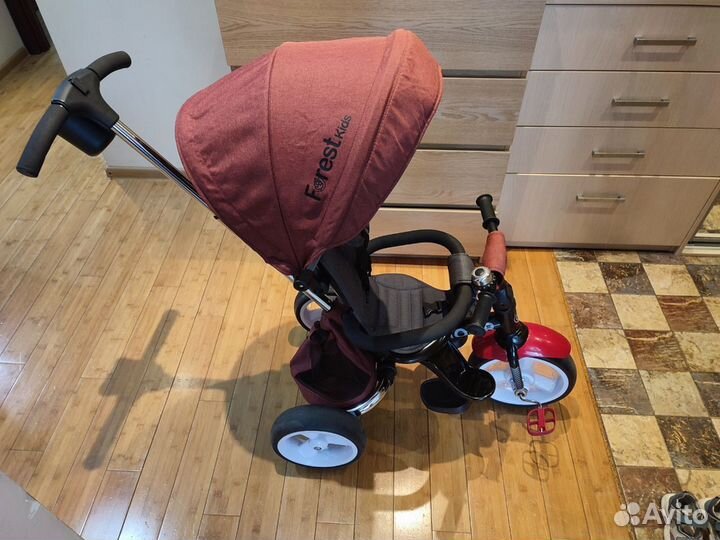 Трехколесный велосипед Forest kids Moor EVA