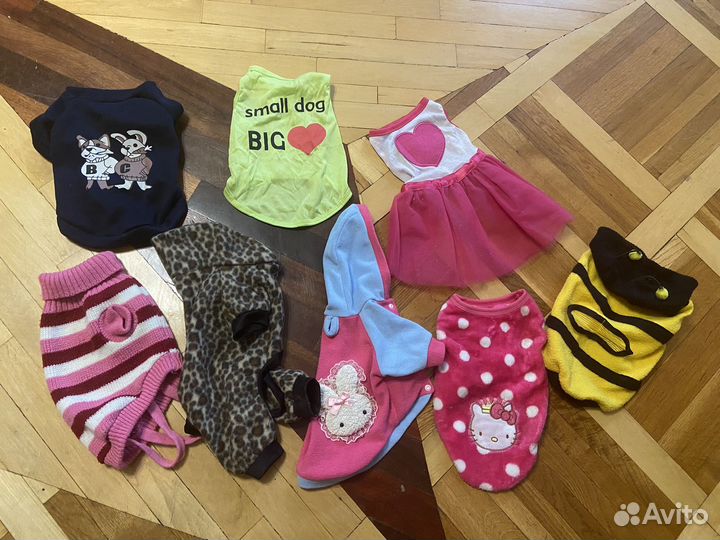 Одежда для собачки. Размер М