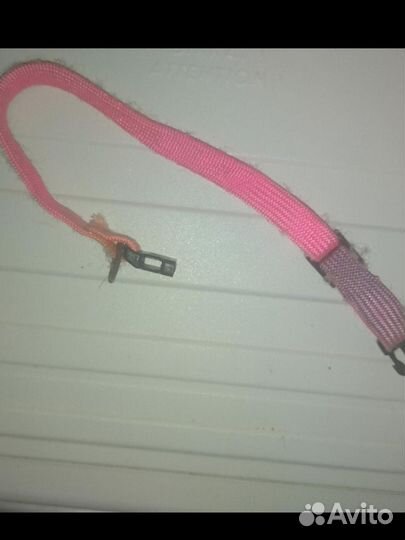 Ошейник для собак и кошек маленьких