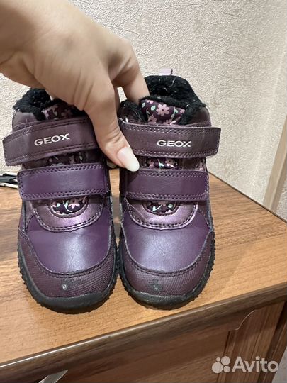 Зимние ботинки Geox