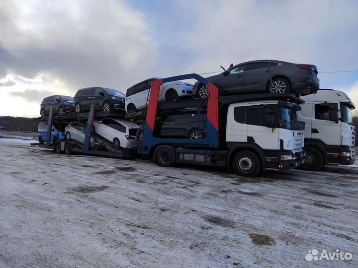 Перевозка автомобилей по россии автовозом