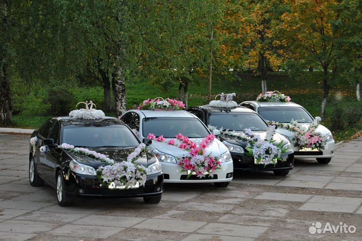 Видеосъемка свадьбы