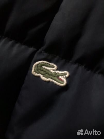 Пуховик lacoste