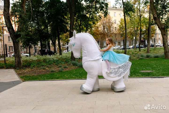 Ездовая Ещинорожка