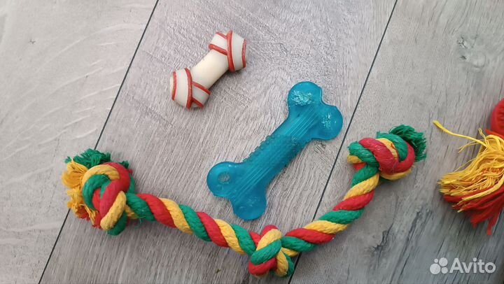 Игрушки ошейник поводок