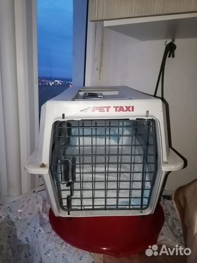 Переноска для кошек пластиковая бу