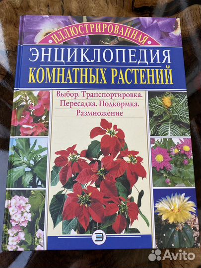 Энциклопедия комнатных растений