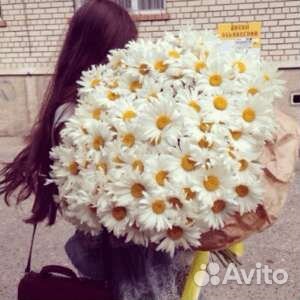 Букеты из ромашек