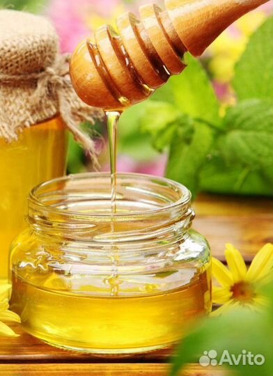 Мёд своя пасека