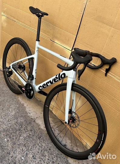 Cervelo Caledonia Rival AXS 54 2024