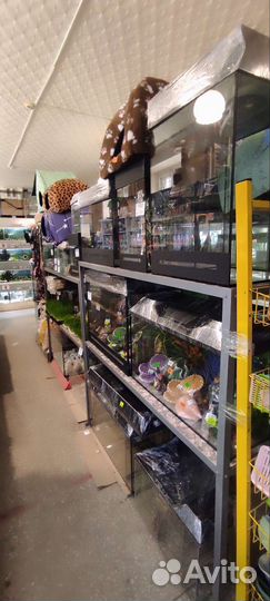 Аквариумы разных форм и размеров