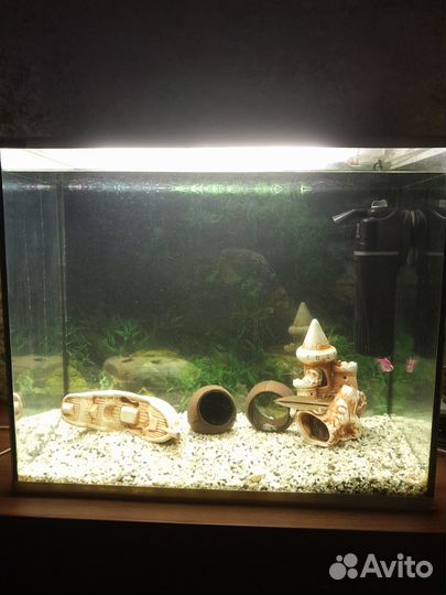 Аквариум бу с рыбками