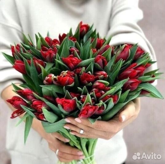 Букет тюльпанов