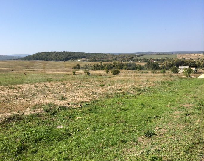 Участок 20 сот. (ИЖС)