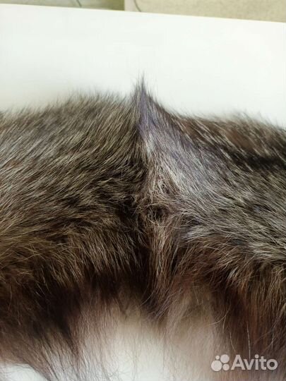 Мех чернобурой лисы