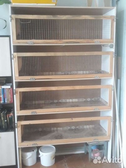 Стеллаж для морских свинок. Торг