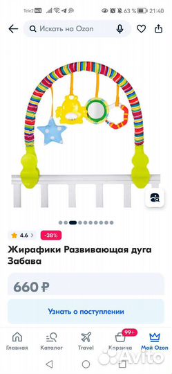 Развивающая дуга